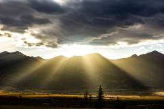 untitled-40